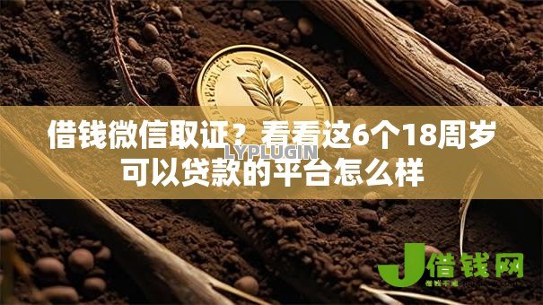 借钱微信取证?看看这6个18周岁可以贷款的平台怎么样 借钱微信取证?看看这6个18周岁可以贷款的平台怎么样