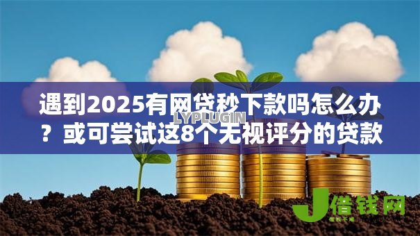 遇到2025有网贷秒下款吗怎么办?或可尝试这8个无视评分的贷款口子 遇到2025有网贷秒下款吗怎么办?或可尝试这8个无视评分的贷款口子