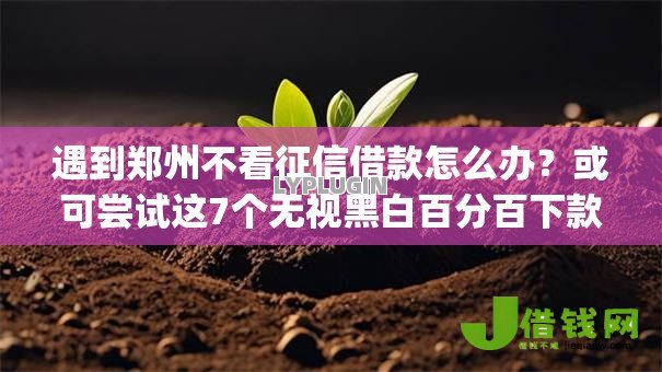 遇到郑州不看征信借款怎么办？或可尝试这7个无视黑白百分百下款的借款app