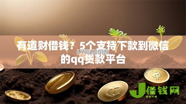 有道财借钱?5个支持下款到微信的qq贷款平台 有道财借钱?5个支持下款到微信的qq贷款平台