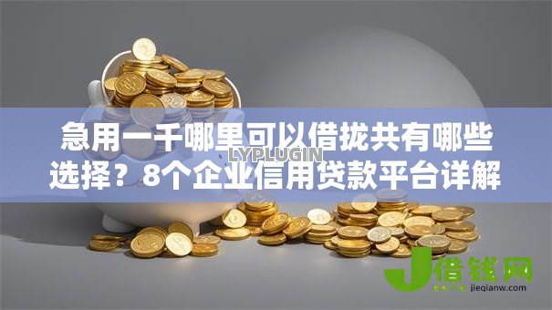 急用一千哪里可以借拢共有哪些选择?8个企业信用贷款平台详解 急用一千哪里可以借拢共有哪些选择?8个企业信用贷款平台详解