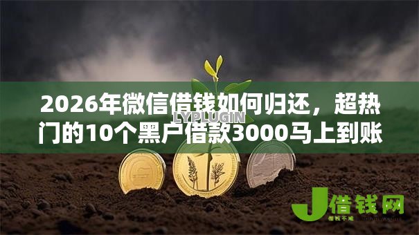 2026年微信借钱如何归还，超热门的10个黑户借款3000马上到账的口子推荐