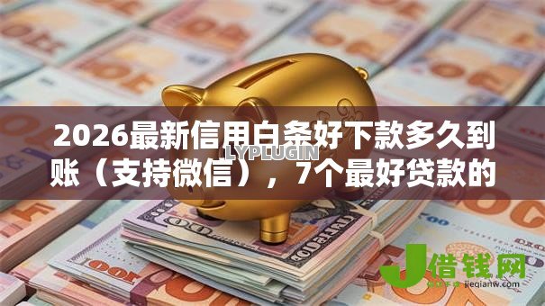 2026最新信用白条好下款多久到账（支持微信），7个最好贷款的平台无私分享