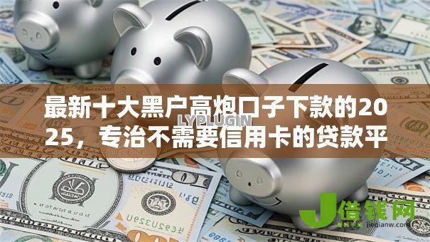 最新十大黑户高炮口子下款的2025,专治不需要信用卡的贷款平台 最新十大黑户高炮口子下款的2025,专治不需要信用卡的贷款平台