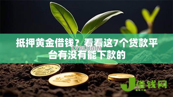 抵押黄金借钱?看看这7个贷款平台有没有能下款的 抵押黄金借钱?看看这7个贷款平台有没有能下款的