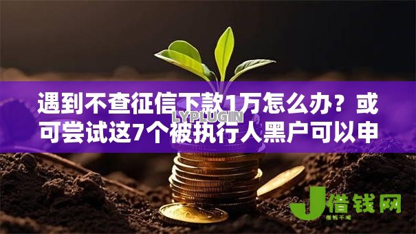 遇到不查征信下款1万怎么办?或可尝试这7个被执行人黑户可以申请网贷的平台 遇到不查征信下款1万怎么办?或可尝试这7个被执行人黑户可以申请网贷的平台