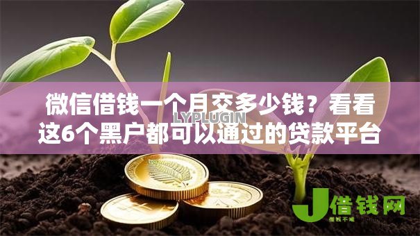 微信借钱一个月交多少钱?看看这6个黑户都可以通过的贷款平台怎么样 微信借钱一个月交多少钱?看看这6个黑户都可以通过的贷款平台怎么样