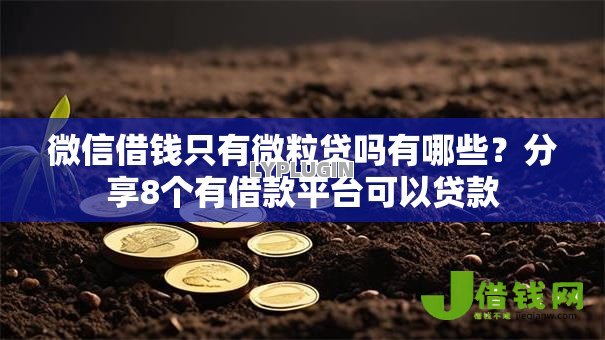微信借钱只有微粒贷吗有哪些？分享8个有借款平台可以贷款