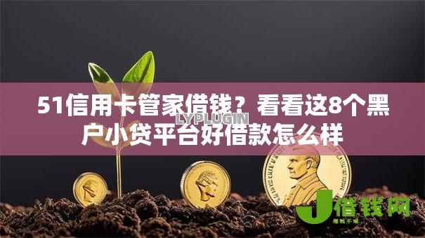 51信用卡管家借钱?看看这8个黑户小贷平台好借款怎么样 51信用卡管家借钱?看看这8个黑户小贷平台好借款怎么样