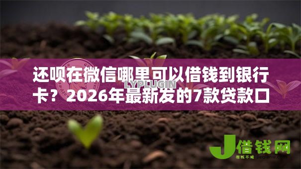 还呗在微信哪里可以借钱到银行卡?2026年最新发的7款贷款口子 还呗在微信哪里可以借钱到银行卡?2026年最新发的7款贷款口子