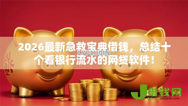 2026最新急救宝典借钱,总结十个看银行流水的网贷软件! 2026最新急救宝典借钱,总结十个看银行流水的网贷软件!