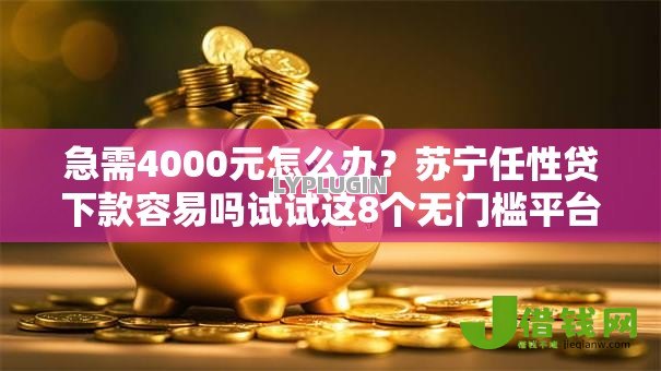 急需4000元怎么办?苏宁任性贷下款容易吗试试这8个无门槛平台 急需4000元怎么办?苏宁任性贷下款容易吗试试这8个无门槛平台