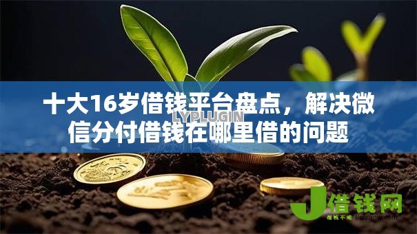 十大16岁借钱平台盘点,解决微信分付借钱在哪里借的问题 十大16岁借钱平台盘点,解决微信分付借钱在哪里借的问题