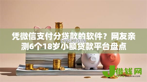 凭微信支付分贷款的软件?网友亲测6个18岁小额贷款平台盘点 凭微信支付分贷款的软件?网友亲测6个18岁小额贷款平台盘点