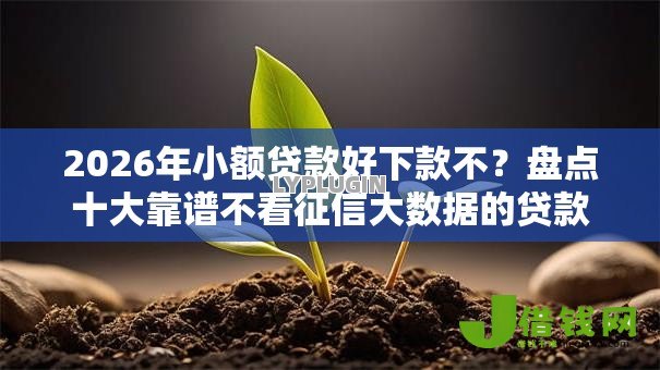 2026年小额贷款好下款不?盘点十大靠谱不看征信大数据的贷款平台 2026年小额贷款好下款不?盘点十大靠谱不看征信大数据的贷款平台