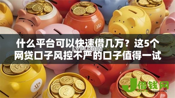 什么平台可以快速借几万?这5个网贷口子风控不严的口子值得一试 什么平台可以快速借几万?这5个网贷口子风控不严的口子值得一试