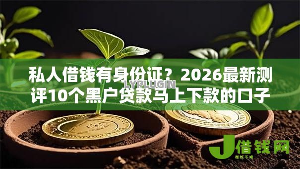 私人借钱有身份证？2026最新测评10个黑户贷款马上下款的口子
