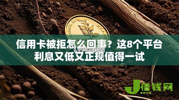 信用卡被拒怎么回事?这8个平台利息又低又正规值得一试 信用卡被拒怎么回事?这8个平台利息又低又正规值得一试