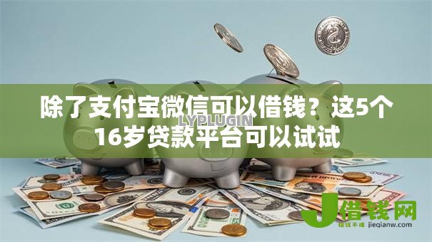 除了支付宝微信可以借钱？这5个16岁贷款平台可以试试