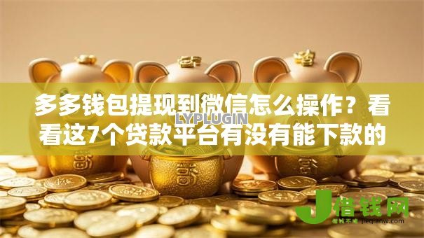 多多钱包提现到微信怎么操作？看看这7个贷款平台有没有能下款的
