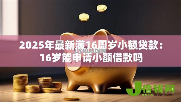 2025年最新满16周岁小额贷款：16岁能申请小额借款吗