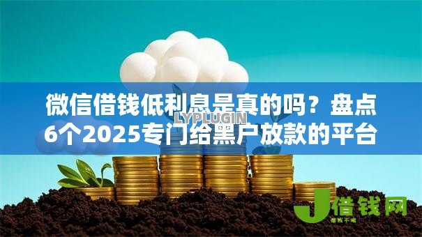 微信借钱低利息是真的吗？盘点6个2025专门给黑户放款的平台给你参考