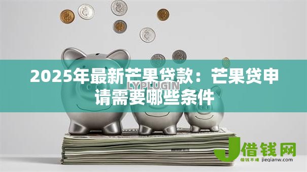 2025年最新芒果贷款：芒果贷申请需要哪些条件