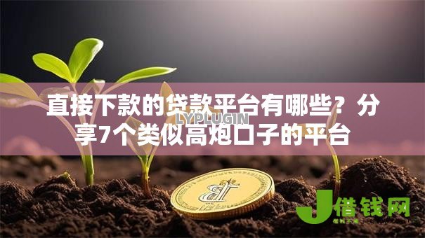直接下款的贷款平台有哪些?分享7个类似高炮口子的平台 直接下款的贷款平台有哪些?分享7个类似高炮口子的平台