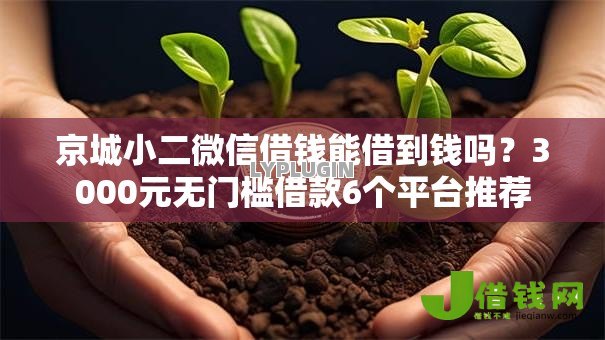 京城小二微信借钱能借到钱吗？3000元无门槛借款6个平台推荐