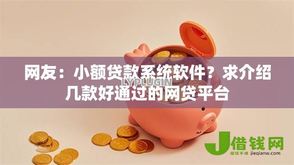 网友：小额贷款系统软件？求介绍几款好通过的网贷平台