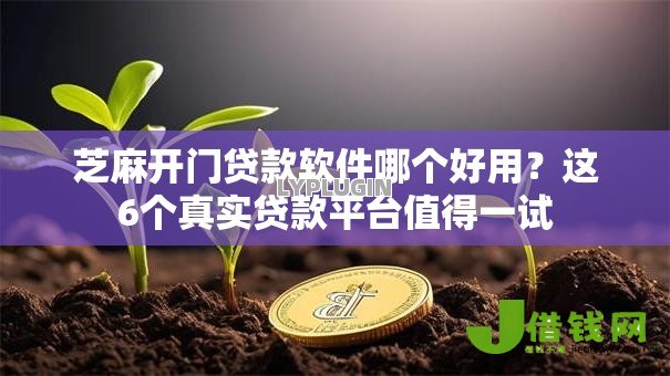 芝麻开门贷款软件哪个好用?这6个真实贷款平台值得一试 芝麻开门贷款软件哪个好用?这6个真实贷款平台值得一试