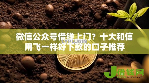 微信公众号借钱上门?十大和信用飞一样好下款的口子推荐 微信公众号借钱上门?十大和信用飞一样好下款的口子推荐