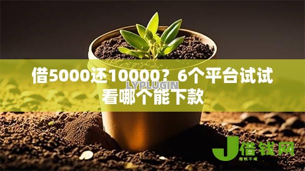 借5000还10000?6个平台试试看哪个能下款 借5000还10000?6个平台试试看哪个能下款