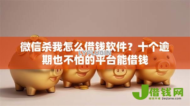微信杀我怎么借钱软件?十个逾期也不怕的平台能借钱 微信杀我怎么借钱软件?十个逾期也不怕的平台能借钱