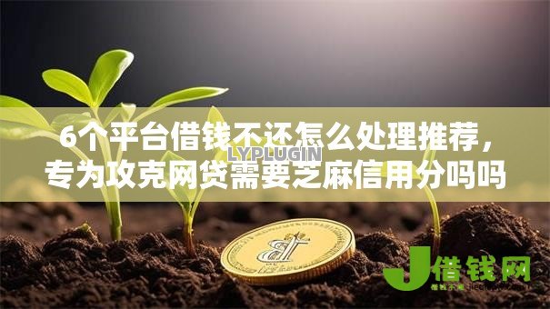 6个平台借钱不还怎么处理推荐，专为攻克网贷需要芝麻信用分吗吗难题