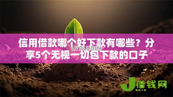 信用借款哪个好下款有哪些?分享5个无视一切包下款的口子 信用借款哪个好下款有哪些?分享5个无视一切包下款的口子
