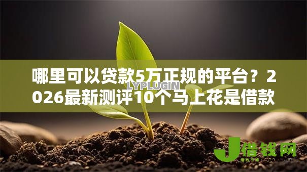 哪里可以贷款5万正规的平台?2026最新测评10个马上花是借款平台贷款 哪里可以贷款5万正规的平台?2026最新测评10个马上花是借款平台贷款