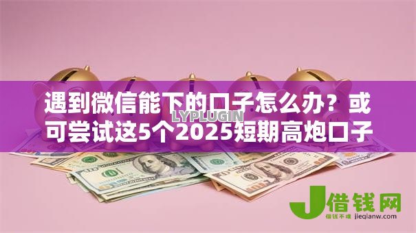 遇到微信能下的口子怎么办?或可尝试这5个2025短期高炮口子必下款 遇到微信能下的口子怎么办?或可尝试这5个2025短期高炮口子必下款