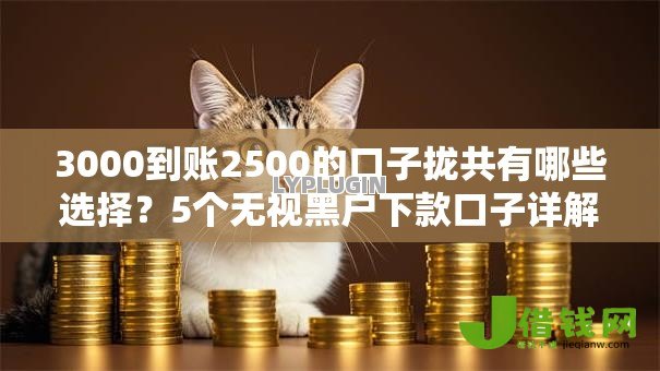 3000到账2500的口子拢共有哪些选择？5个无视黑户下款口子详解