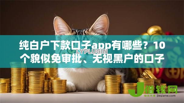 纯白户下款口子app有哪些？10个貌似免审批、无视黑户的口子合集