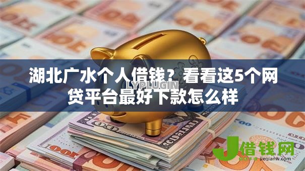 湖北广水个人借钱?看看这5个网贷平台最好下款怎么样 湖北广水个人借钱?看看这5个网贷平台最好下款怎么样