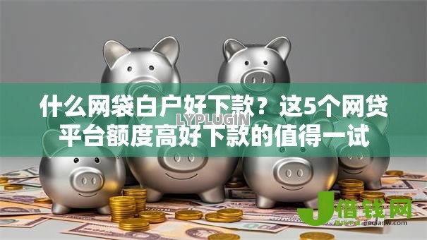 什么网袋白户好下款？这5个网贷平台额度高好下款的值得一试