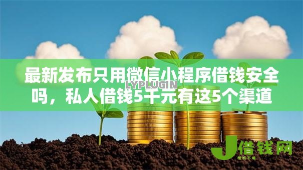 最新发布只用微信小程序借钱安全吗,私人借钱5千元有这5个渠道 最新发布只用微信小程序借钱安全吗,私人借钱5千元有这5个渠道