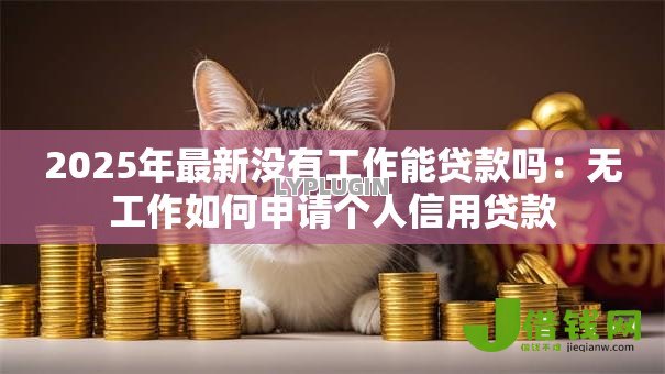 2025年最新没有工作能贷款吗：无工作如何申请个人信用贷款