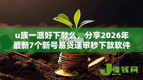 u族一派好下款么,分享2026年最新7个新号易贷速审秒下款软件 u族一派好下款么,分享2026年最新7个新号易贷速审秒下款软件