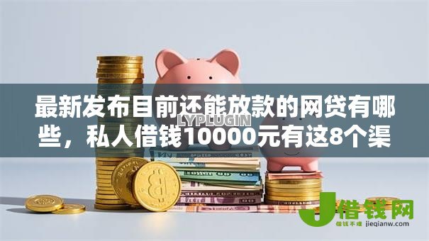 最新发布目前还能放款的网贷有哪些，私人借钱10000元有这8个渠道