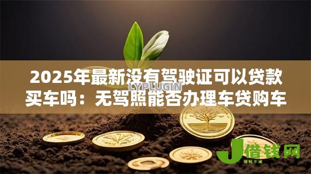 2025年最新没有驾驶证可以贷款买车吗：无驾照能否办理车贷购车