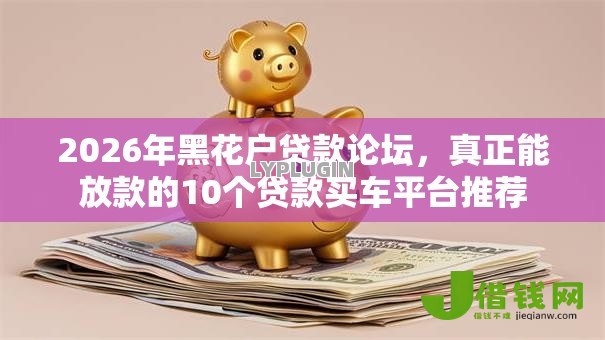 2026年黑花户贷款论坛，真正能放款的10个贷款买车平台推荐