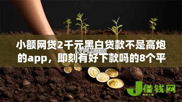 小额网贷2千元黑白贷款不是高炮的app，即刻有好下款吗的8个平台介绍