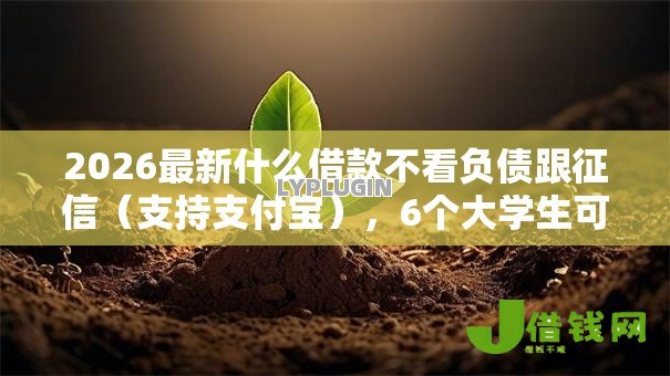 2026最新什么借款不看负债跟征信(支持支付宝),6个大学生可以借钱的平台无私分享 2026最新什么借款不看负债跟征信(支持支付宝),6个大学生可以借钱的平台无私分享